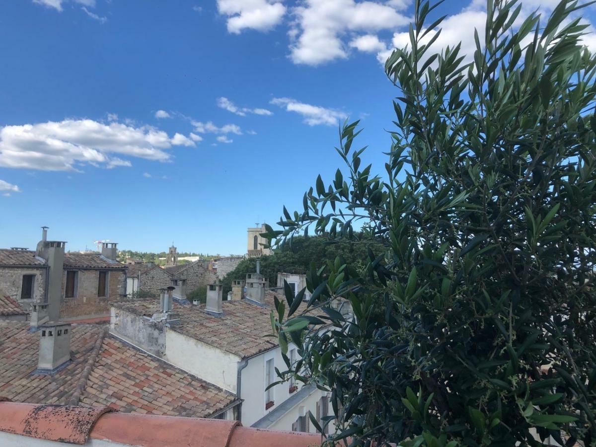Appartement Avec Terrasse Panoramique Au Coeur De Nimes Bagian luar foto